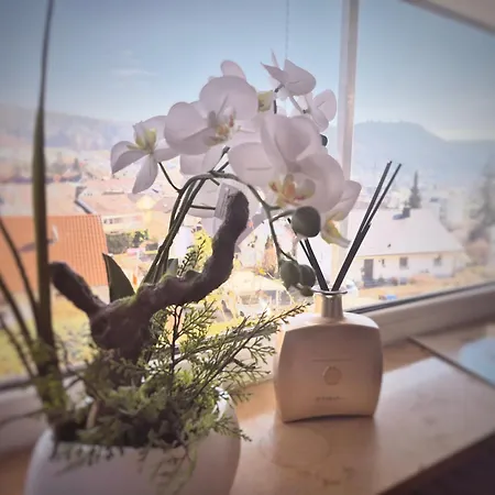 Seestudio Mit Toller Aussicht Am Bodensee Apartmán Bodman-Ludwigshafen