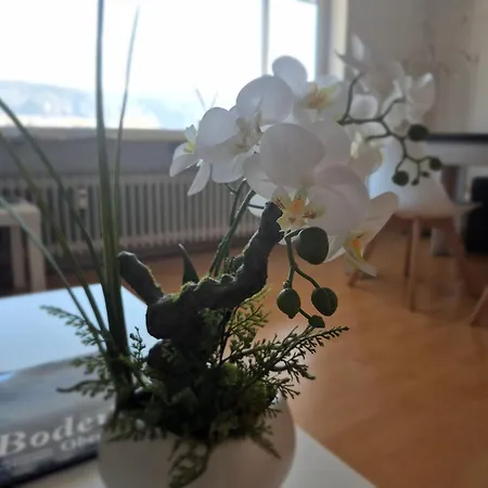 Seestudio Mit Toller Aussicht Am Bodensee * Bodman-Ludwigshafen